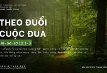 Theo Đuổi Cuộc Đua – 17/4/2024