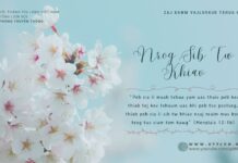 Nrog Sib Tw Khiav – 17/4/2024