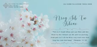 Nrog Sib Tw Khiav – 17/4/2024