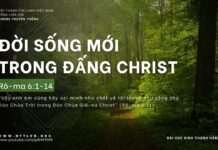 Đời Sống Mới Trong Đấng Christ – 18/4/2024