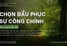Chọn Đầu Phục Sự Công Chính – 19/4/2024