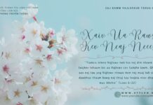 Xaiv Ua Raws Kev Ncaj Ncees – 19/4/2024