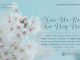 Xaiv Ua Raws Kev Ncaj Ncees – 19/4/2024