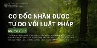 Cơ Đốc Nhân Được Tự Do Với Luật Pháp – 20/4/2024