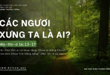 Các Ngươi Xưng Ta Là Ai? – 24/4/2024