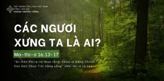 Các Ngươi Xưng Ta Là Ai? – 24/4/2024
