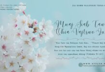 Muaj Siab Tawv Qhia Vajtswv Lus – 25/4/2024