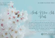 Siab Ntev Sib Pab – 27/4/2024