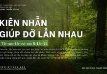 Kiên Nhẫn Giúp Đỡ Lẫn Nhau – 27/4/2024