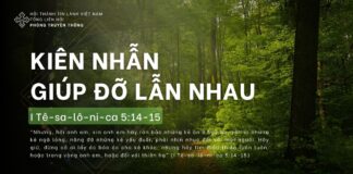 Kiên Nhẫn Giúp Đỡ Lẫn Nhau – 27/4/2024