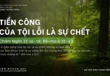 Tiền Công Của Tội Lỗi Là Sự Chết – 28/4/2024