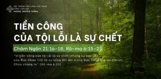 Tiền Công Của Tội Lỗi Là Sự Chết – 28/4/2024