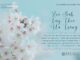Zoo Siab – Taij Thov – Ua Tsaug – 29/4/2024