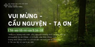 Vui mừng – Cầu nguyện – Tạ ơn – 29/4/2024