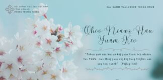 Qhov Ncaws Hau Yuam Kev – 5/4/2024