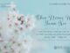 Qhov Ncaws Hau Yuam Kev – 5/4/2024