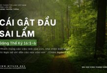 Cái Gật Đầu Sai Lầm – 5/4/2024