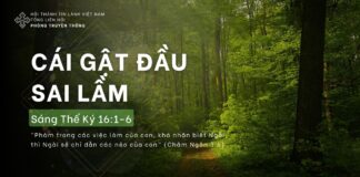 Cái Gật Đầu Sai Lầm – 5/4/2024