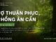 Vợ Thuận Phục, Chồng Ân Cần – 6/4/2024