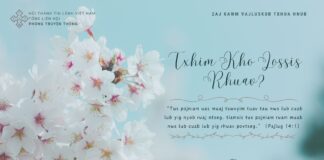 Txhim Kho Lossis Rhuav? – 7/4/2024