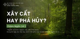 Xây Cất Hay Phá Hủy? – 7/4/2024