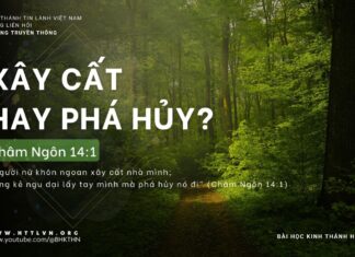 Xây Cất Hay Phá Hủy? – 7/4/2024