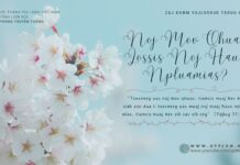 Noj Mov Qhuav Lossis Noj Haus Npluamias? – 8/4/2024