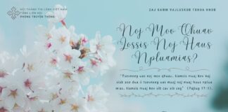 Noj Mov Qhuav Lossis Noj Haus Npluamias? – 8/4/2024