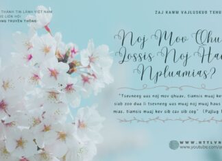 Noj Mov Qhuav Lossis Noj Haus Npluamias? – 8/4/2024