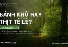 Bánh Khô Hay Thịt Tế Lễ? – 8/4/2024