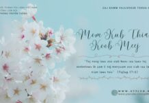 Mom Kub Thiab Koob Meej – 9/4/2024