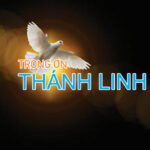 TRONG ON THANH LINH