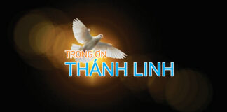 Bài hát: TRONG ƠN THÁNH LINH