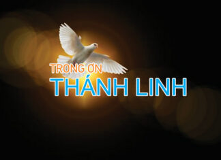 Bài hát: TRONG ƠN THÁNH LINH