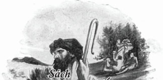Bài 151: Sách A-mốt, A-mốt Thấy Sư Tử Gầm Thét