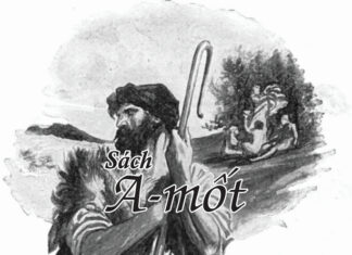 Bài 151: Sách A-mốt, A-mốt Thấy Sư Tử Gầm Thét