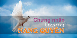 Bài hát: CHỨNG NHÂN TRONG NĂNG QUYỀN