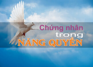 Bài hát: CHỨNG NHÂN TRONG NĂNG QUYỀN
