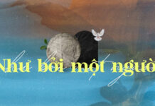Thơ: NHƯ BỞI MỘT NGƯỜI