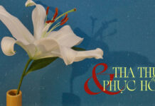 Thơ: THA THỨ VÀ PHỤC HỒI