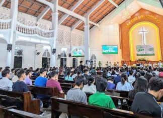 Bồi Linh – Thông Công Thanh Thiếu Niên Tỉnh Vĩnh Long