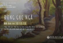 Đừng Gục Ngã – 18/5/2024