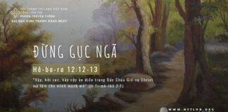 Đừng Gục Ngã – 18/5/2024