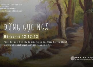Đừng Gục Ngã – 18/5/2024