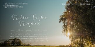 Nrhiav Txojkev Ncajncees – 26/5/2024
