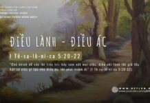 Điều Lành – Điều Ác – 29/5/2024