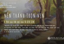 Nên Thánh Trọn Vẹn – 30/5/2024