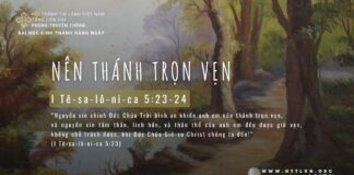 Nên Thánh Trọn Vẹn – 30/5/2024