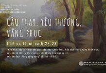 Cầu Thay, Yêu Thương, Vâng Phục – 31/5/2024