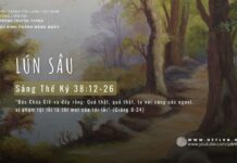Lún Sâu – 7/5/2024